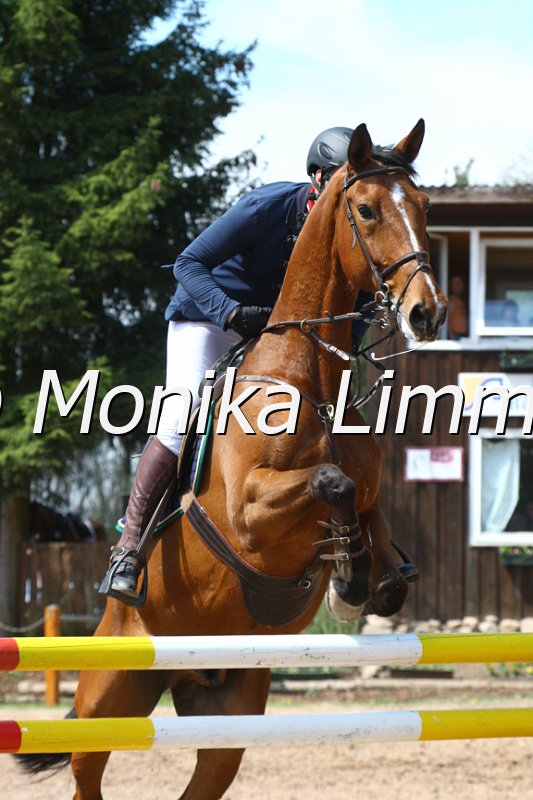 004M2167_Queens Parc_Punkte L m. Joker.JPG